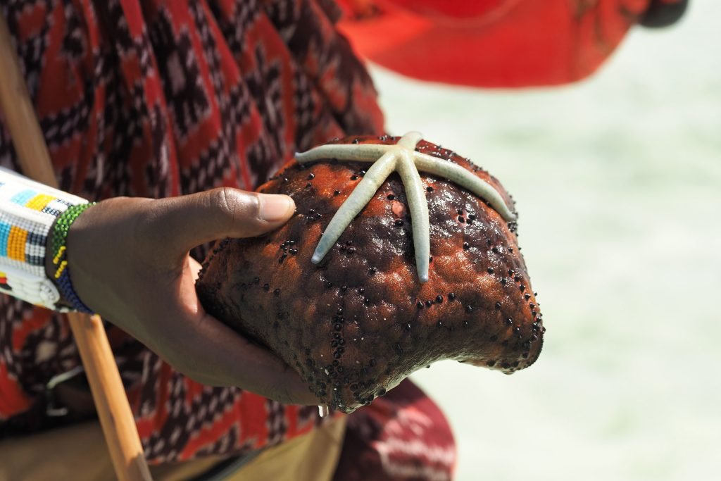 masai-met-zeester